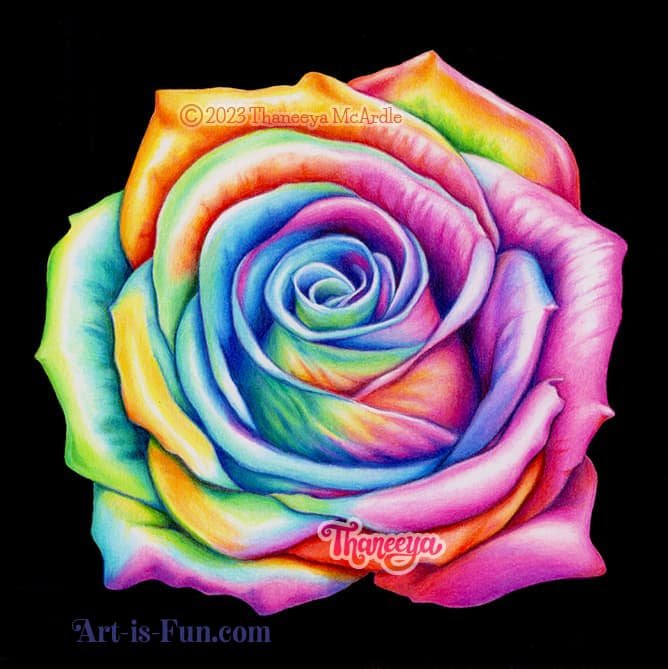 Realistic-rainbow-rose-colored-pencils-drawing-by-Thaneeya-McArdle.jpg